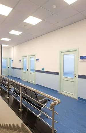 azure-sardine-328383.hostingersite.com